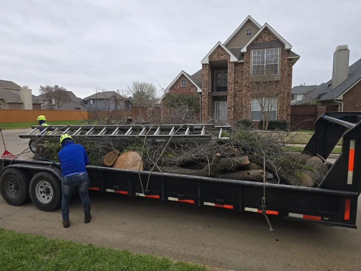 Expert Lot Clearing with proper safety equipment in Elroy